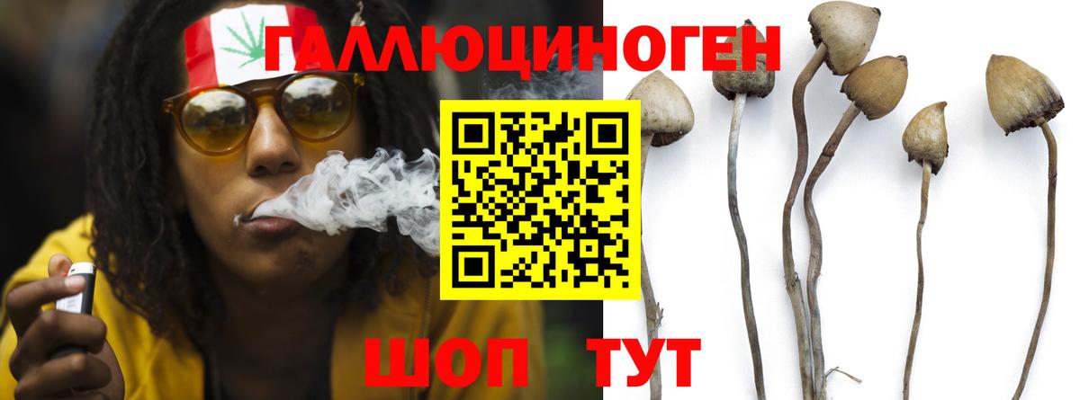 Галлюциногенные грибы мицелий  Вход с VPN  Мурино  Псилоцибиновые грибы Psilocybine cubensis 